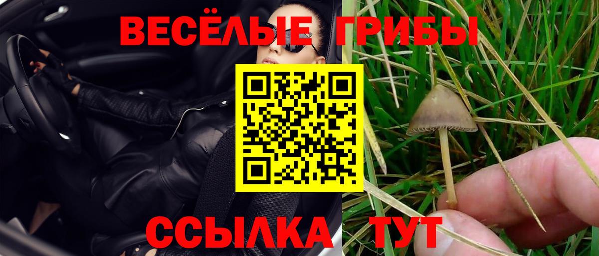 Альметьевск  Галлюциногенные грибы ЛСД  Вход с VPN  Галлюциногенные грибы Magic Shrooms 
